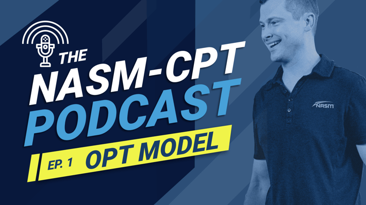 Demystifying NASM's OPT™ Model: Phased Training for Lasting Fitness Success
