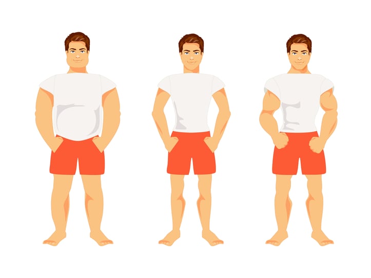 Endomorph, mesomorph, ectomorph body types