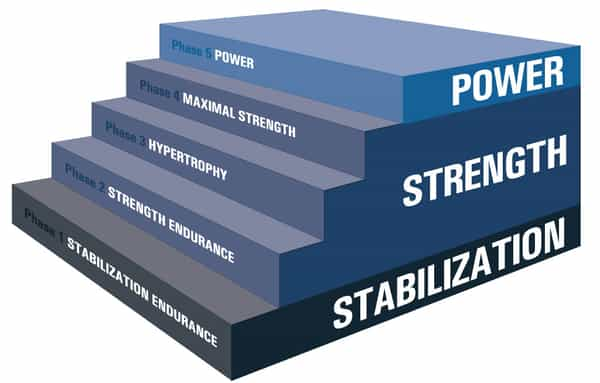 Nasm Optimum Performance Training Model