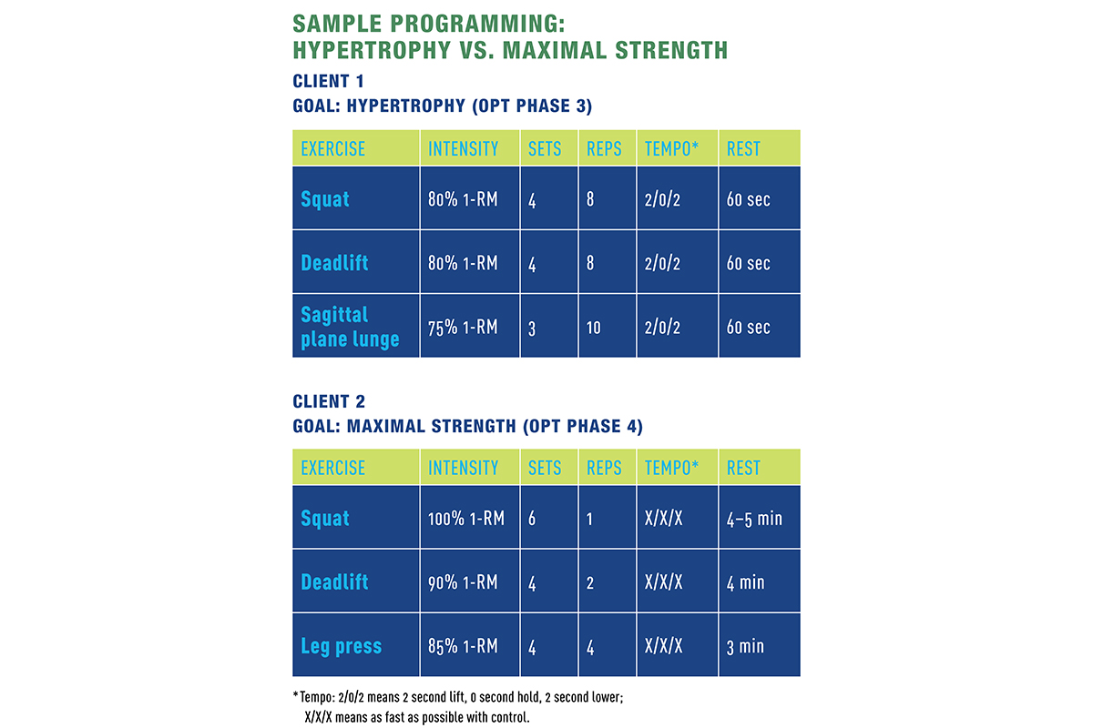 Balance progression online nasm