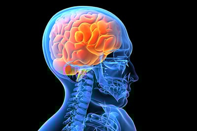 Boosting Brain Fitness: The Science-Backed Link Between Exercise and Cognitive Health