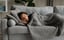 personal trainer business plan aims and objectives A lady taking a nap on a couch